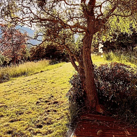 House On A Sunny Meadow * Hermanky